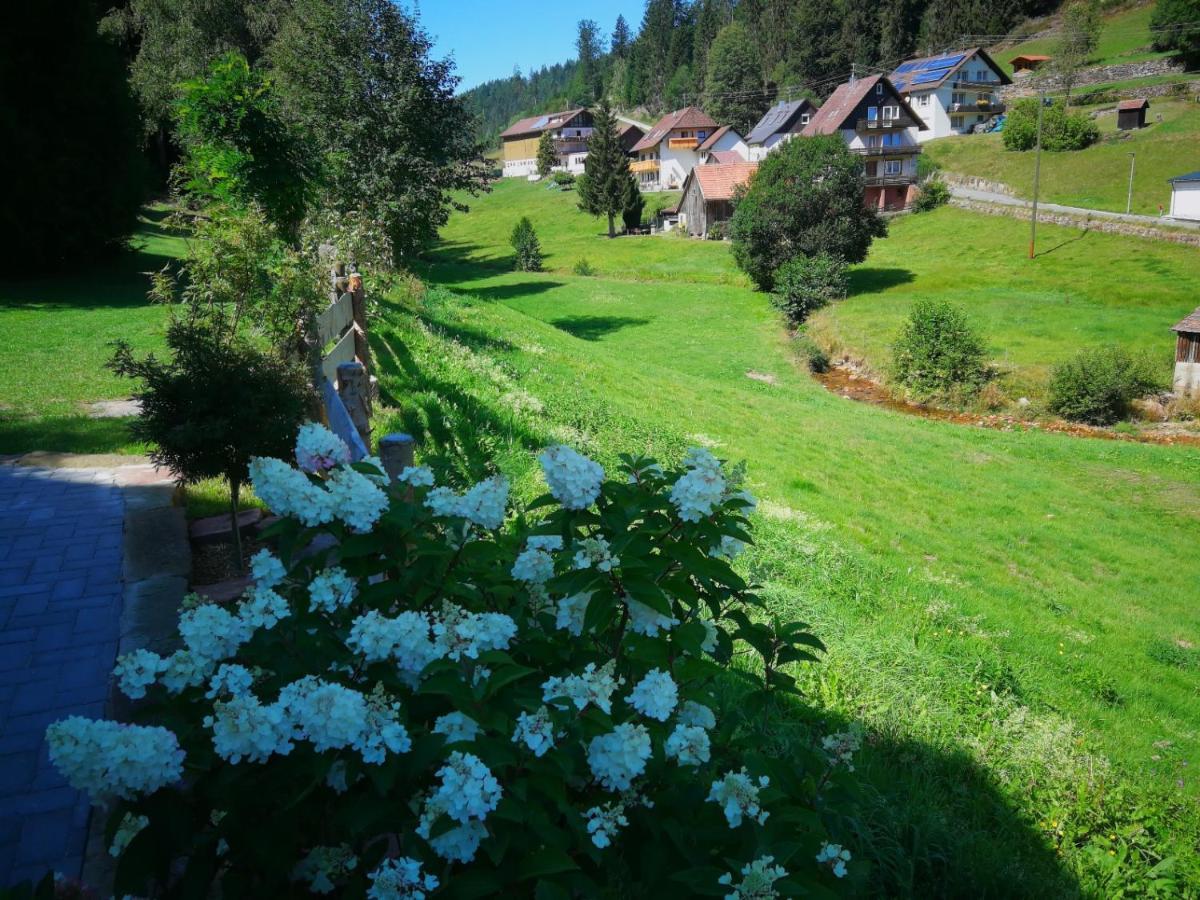 Ferienwohnung Ferienhaus Enzquelle Enzklösterle Exterior foto