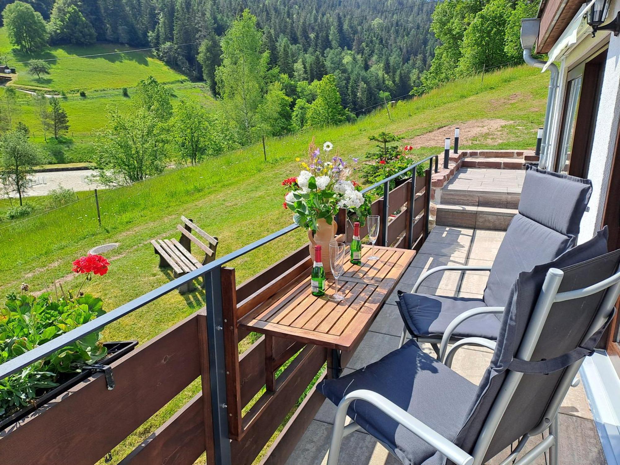 Ferienwohnung Ferienhaus Enzquelle Enzklösterle Zimmer foto