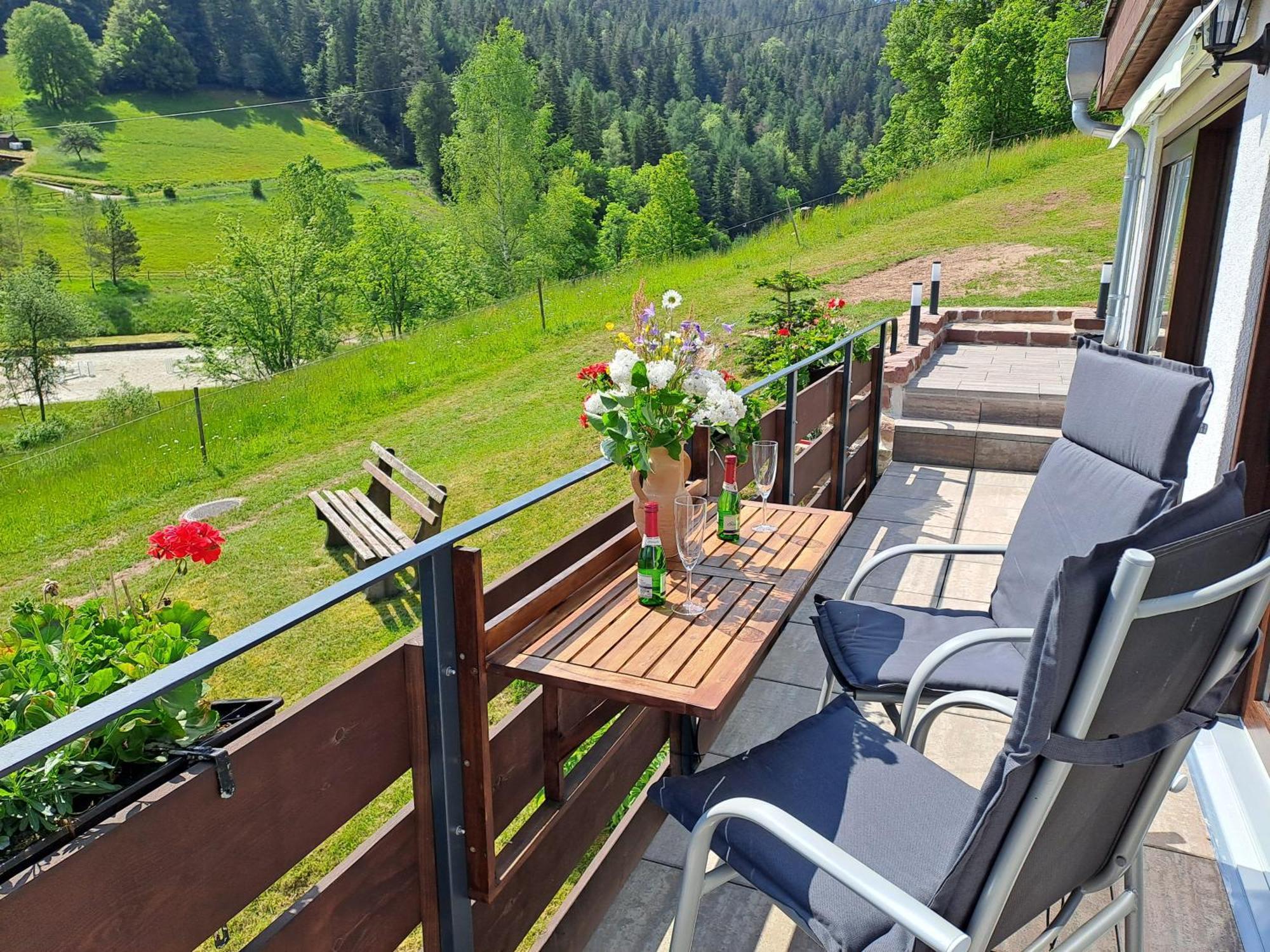Ferienhaus Enzquelle Enzklösterle Zimmer foto