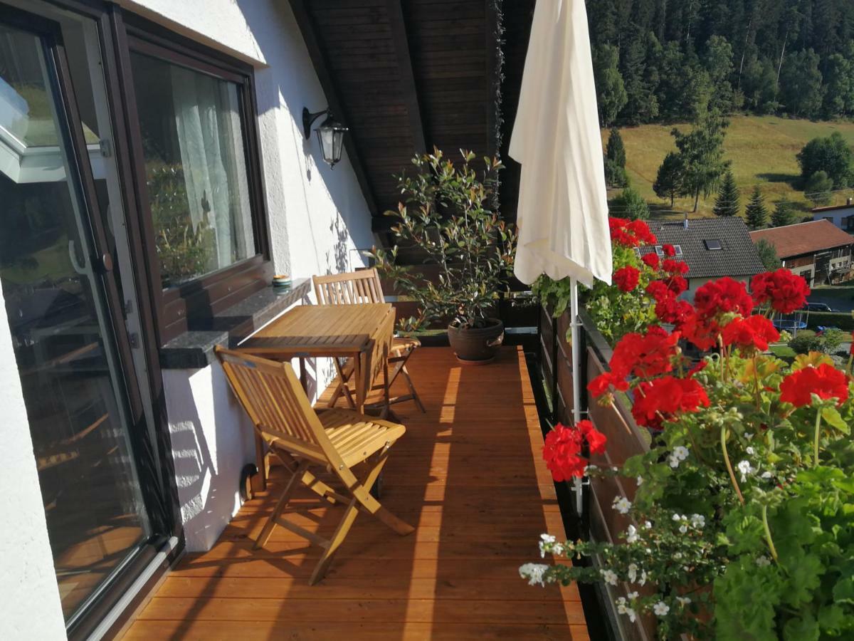 Ferienhaus Enzquelle Enzklösterle Exterior foto
