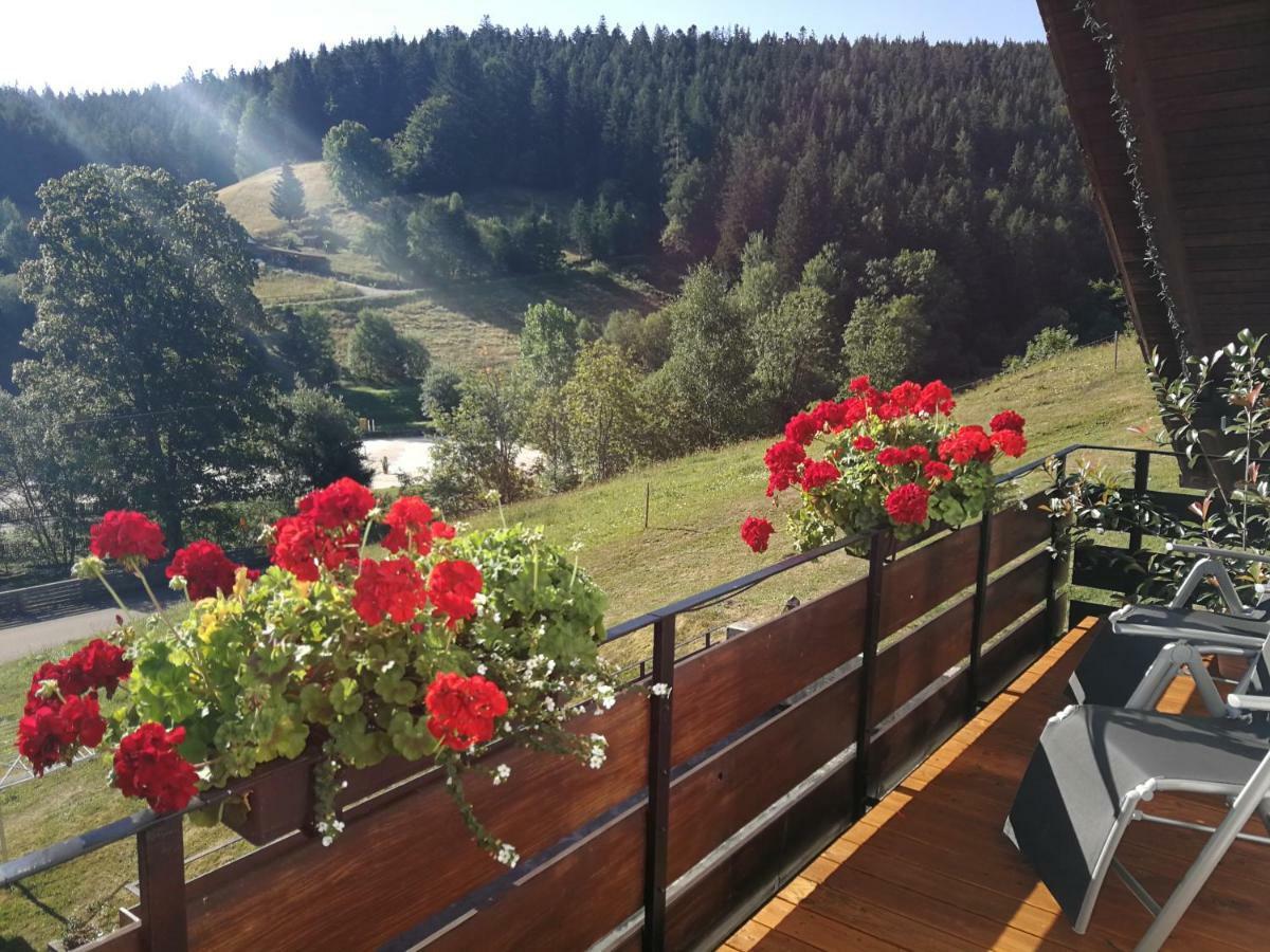 Ferienwohnung Ferienhaus Enzquelle Enzklösterle Exterior foto